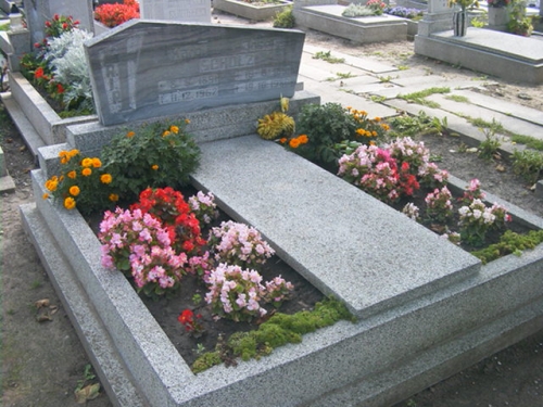 Scholz Karol