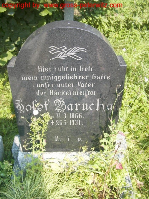 Barucha Josef