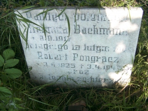 Pongracz  Robert
