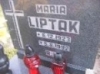 Liptak Maria