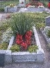 RIMG0017