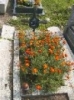 RIMG0082