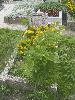 RIMG0248