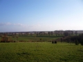 Arboretum bei der Kreuzkirche